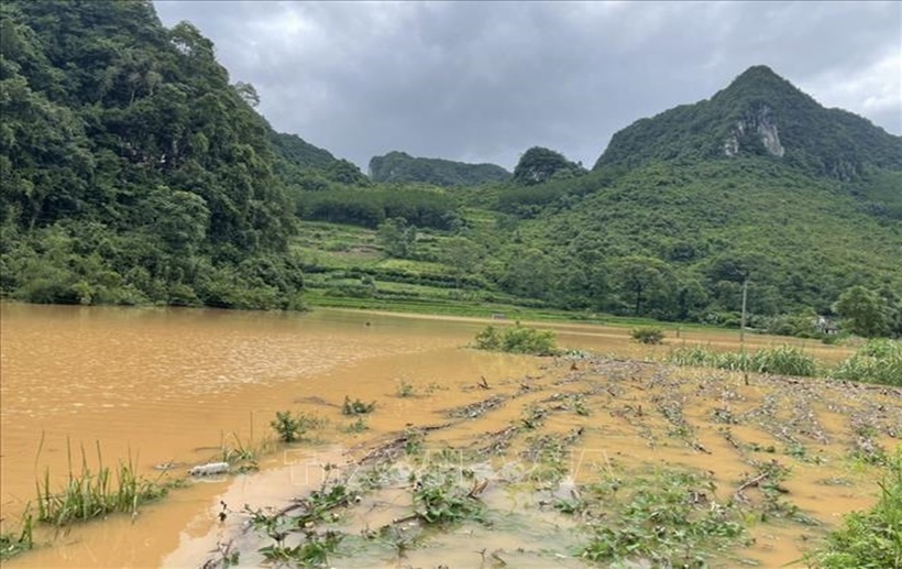 Mưa lớn làm ngập úng nhiều diện tích lúa ở huyện Hà Quảng, tỉnh Cao Bằng. (Ảnh: TTXVN)