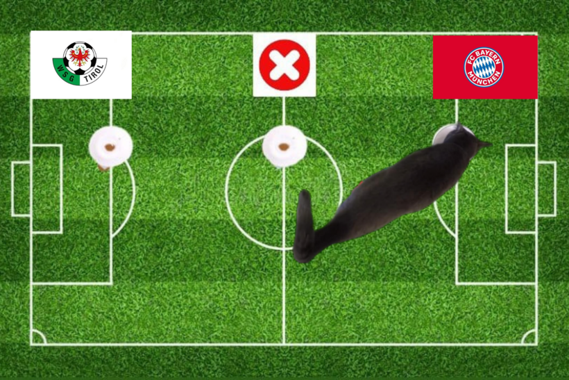 Lựa chọn của chú mèo tiên tri về cặp đấu Bayern Munich vs WSG Tirol