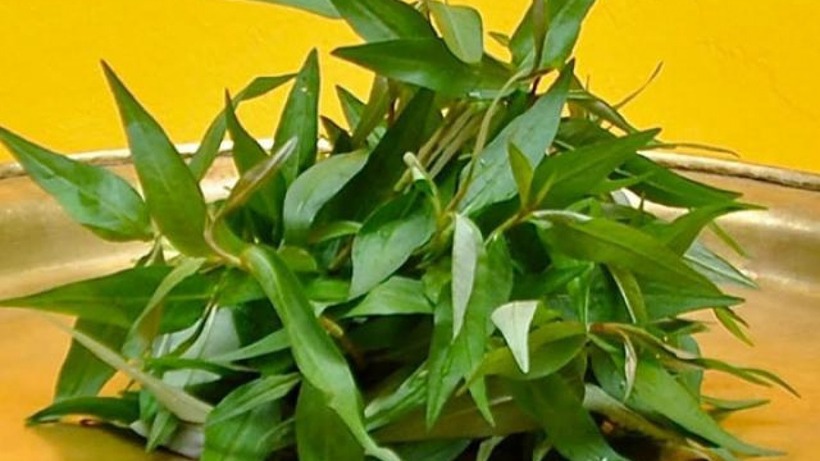 Rau răm còn được xem là vị thuốc quý, có tác dụng kích thích tiêu hóa, trừ phong hàn...Ảnh minh họa