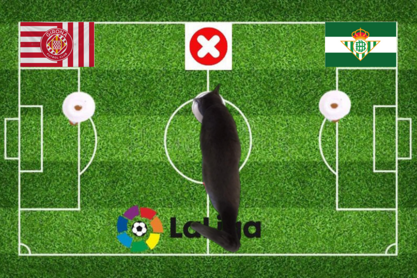 Lựa chọn của chú mèo tiên tri về cặp đấu Betis vs Girona