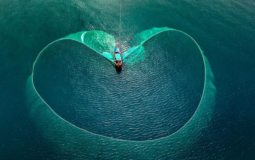 Phú Nhĩ - từ tinh hoa biển cả đến hương vị đặc sắc ẩm thực Việt - 2