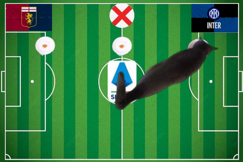 Lựa chọn của chú mèo tiên tri về cặp đấu Genoa vs Inter Milan