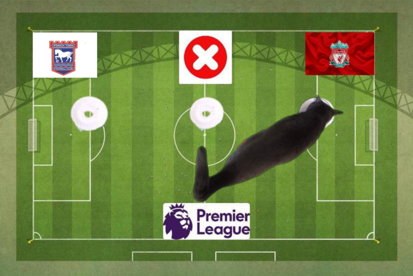 Lựa chọn của chú mèo tiên tri trước cặp đôi Ipswich vs Liverpool