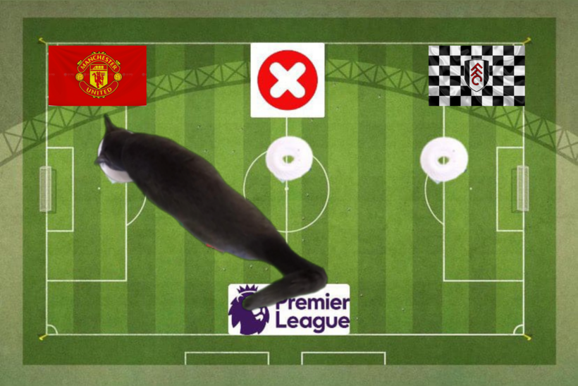 Lựa chọn của chú mèo tiên tri về cặp đấu MU vs Fulham