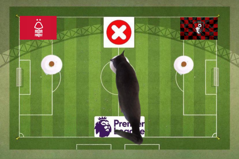Lựa chọn của mèo tiên tri trước cặp đấu Nottingham Forest và Bournemouth