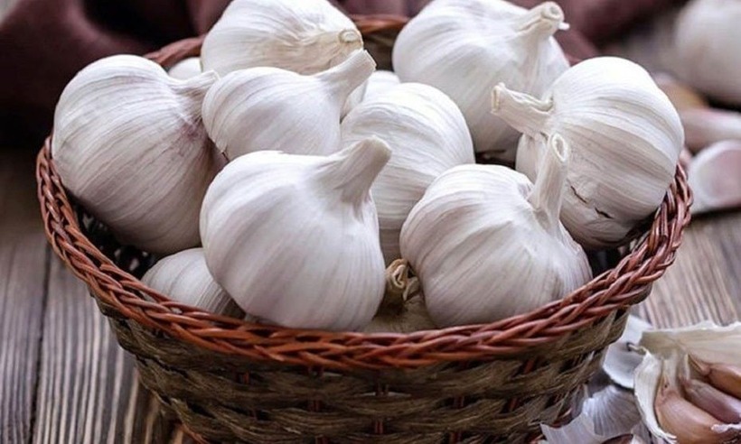 Không phải ai cũng có thể sử dụng tỏi một cách an toàn. Ảnh minh họa