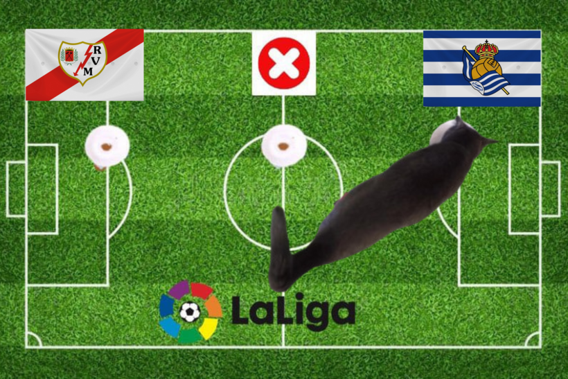 Lựa chọn của chú mèo tiên tri trước cặp đấu Sociedad và Rayo Vallecano