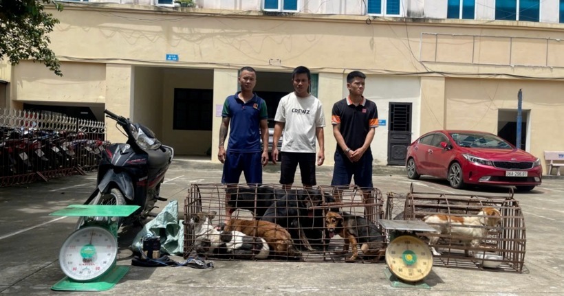 3 đối tượng: Lê Doãn Thực, Lê Đức Chung và Ngô Văn Tuấn cùng số chó trộm cắp. (Ảnh: Công an tỉnh Thanh Hóa)