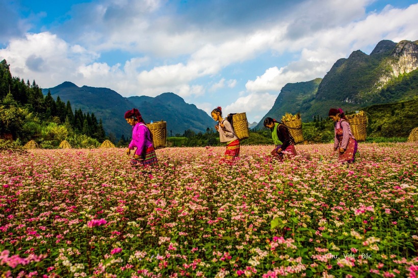Hà Giang sẽ là điểm đến mà du khách không nên bỏ qua