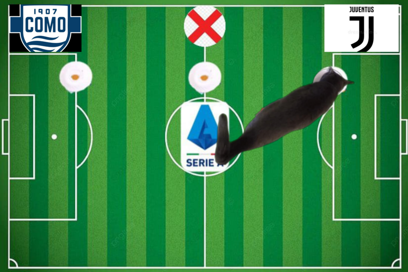 Lựa chọn của chú mèo tiên tri trước cặp đấu Juventus và Como
