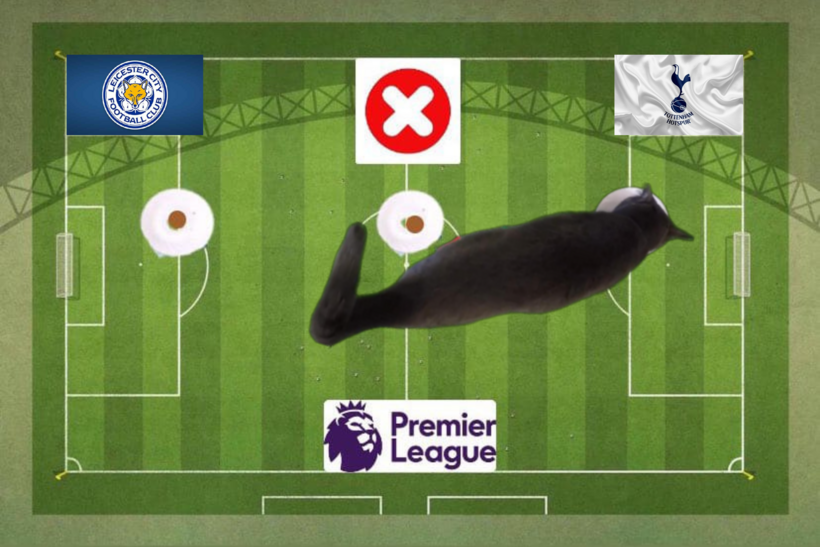 Lựa chọn của chú mèo tiên tri trước cặp đấu Leicester và Tottenham