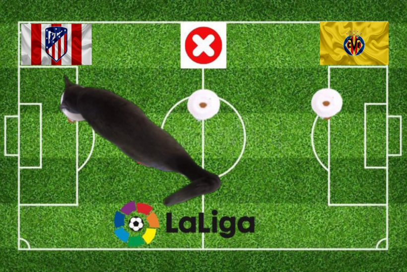 Lựa chọn của chú mèo tiên tri về cặp đấu Villarreal và Atletico