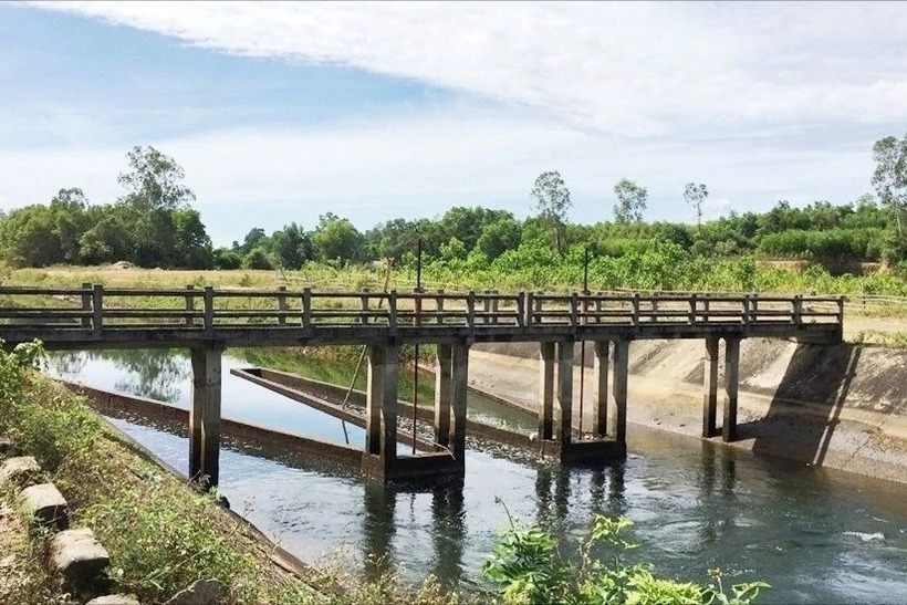 Thanh niên đuối nước tại kênh chính Phú Ninh, để lại cha mẹ mắc bệnh hiểm nghèo. (Ảnh: PLO)