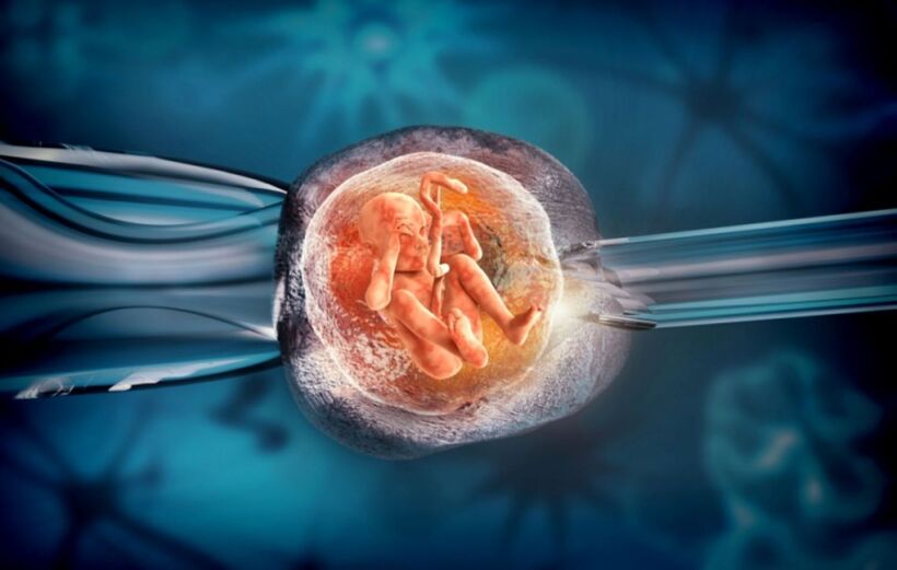 Thụ tinh trong ống nghiệm IVF là kỹ thuật đặc biệt giúp tinh trùng và trứng kết hợp với nhau trong môi trường phòng thí nghiệm. Ảnh minh họa