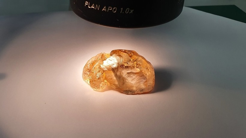 Hổ phách là một loại nhựa cây hóa thạch từ thời đồ đá, có giá trị kinh tế lớn. Nó còn được gọi là đá mặt trời, bởi sinh ra từ cây, được sưởi ấm bởi năng lượng mặt trời và nằm sâu trong lòng đất. Ảnh minh họa