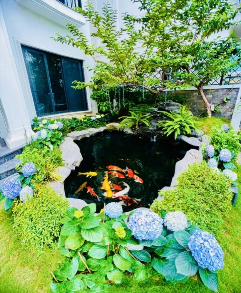 Để cảnh vật thêm sinh động và gần gũi, cô và ông xã đã cho xây bể cá Koi vô cùng nổi bật. Mặc dù hồ cá Koi không quá lớn nhưng mang đến cảm giác yên bình và thư thái.