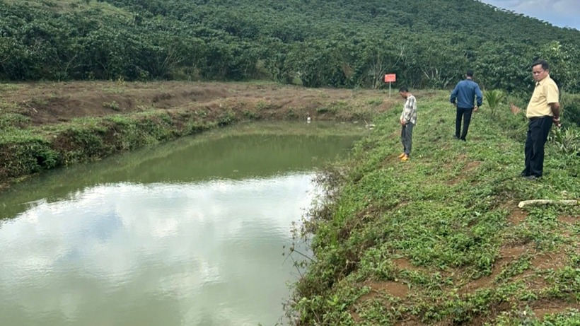 Ao tưới cà phê nơi cháu L. bị đuối nước. Ảnh: Báo Lâm Đồng