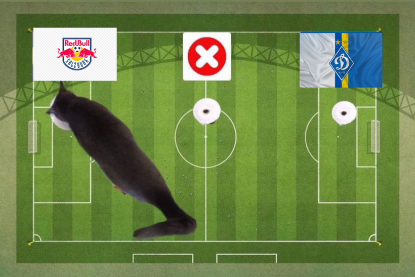Lựa chọn của chú mèo tiên tri trước cặp đấu Dinamo Kiev và Red Bull Salzburg