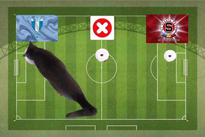 Lựa chọn của chú mèo tiên tri trước trận đấu Malmo và Sparta Praha