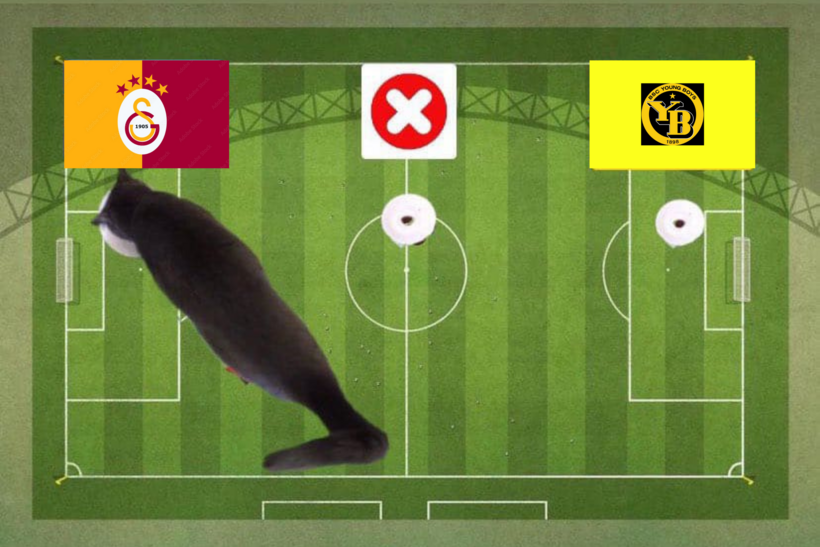 Lựa chọn của chú mèo tiên tri về cặp đấu Young Boys và Galatasaray