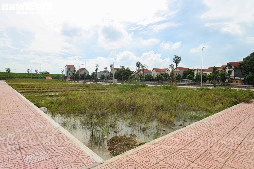 Khu vực này cũng đã được đầu tư đồng bộ hạ tầng đường giao thông, điện, nước, cây xanh.