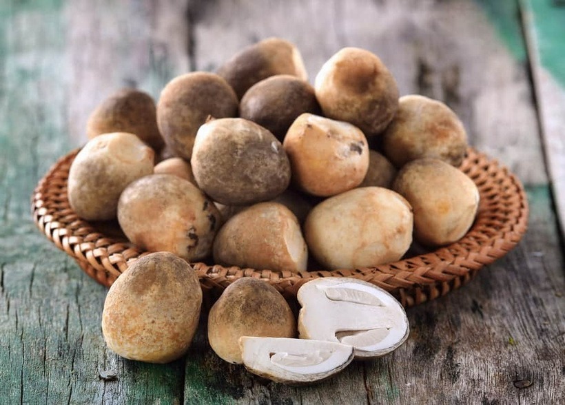 Nấm rơm có nhiều công dụng tuyệt vời, được ví tốt như "thần dược". Ảnh minh họa