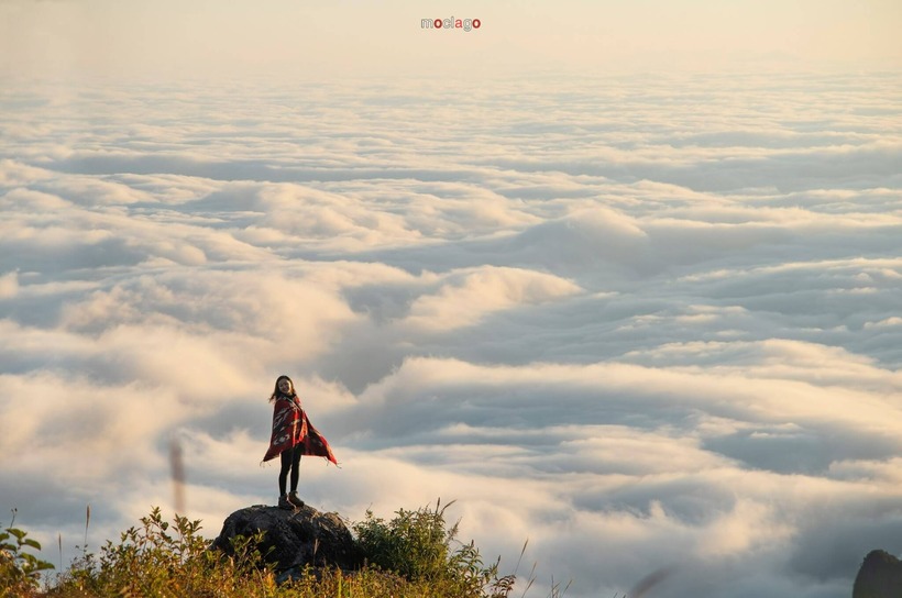 Có thể nói “bình minh trên mây cao” đã trở thành thương hiệu của ngọn núi Bạch Mộc này. Ảnh minh họa