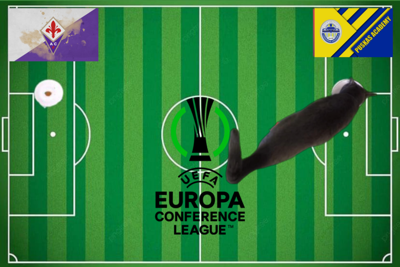 Lựa chọn của chú mèo tiên tri trước cặp đấu Fiorentina vs Puskas Academy