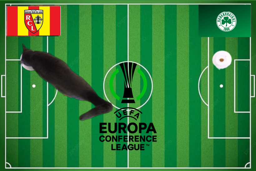 Lựa chọn của chú mèo tiên tri trước cặp đấu Lens và Panathinaikos