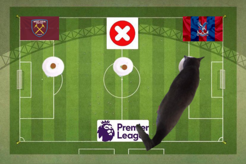 Lựa chọn của chú mèo tiên tri trước cặp đấu Crystal Palace và West Ham