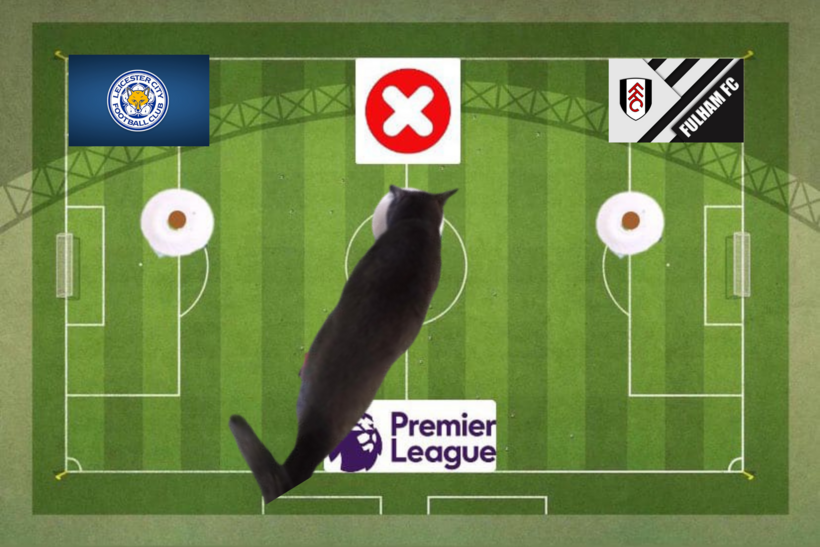 Lựa chọn của chú mèo tiên tri trước cặp đấu Fulham và Leicester