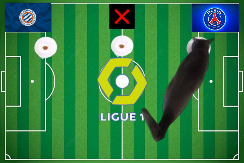 Lựa chọn của chú mèo tiên tri trước cặp đấu PSG và Montpellier