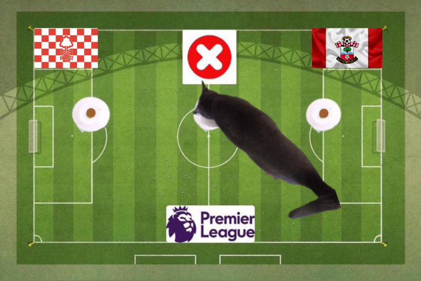 Lựa chọn của chú mèo tiên tri trước cặp đấu Southampton và Nottingham Forest