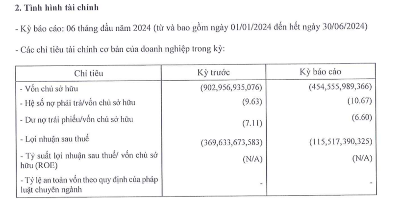 Các chỉ tiêu tài chính của Khách sạn Quốc tế Thiên Phúc tại ngày 30/6/2024. Ảnh chụp màn hình.