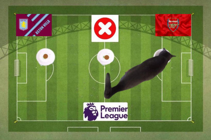 Lựa chọn của chú mèo tiên tri trước trận đấu Aston Villa vs Arsenal