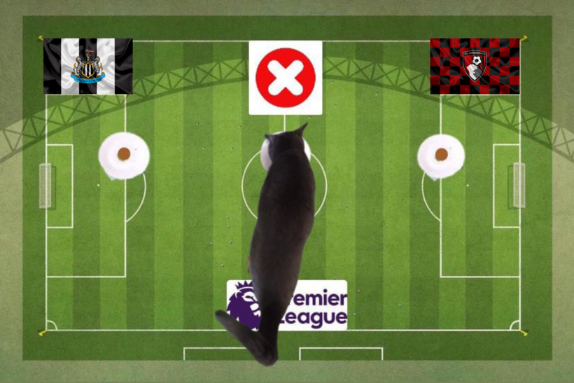 Lựa chọn của chú mèo tiên tri trước cặp đấu Bournemouth và Newcastle