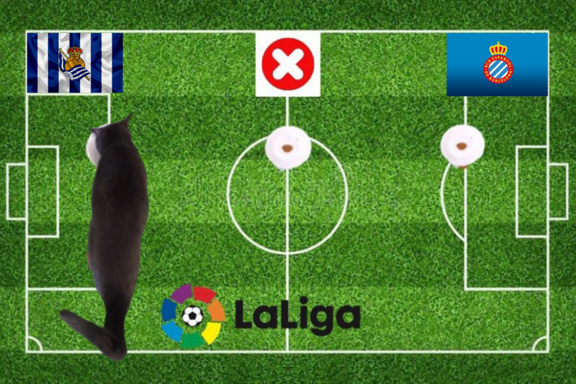 Lựa chọn của chú mèo tiên tri trước cặp đấu Espanyol vs Sociedad