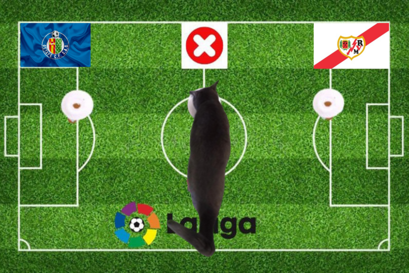 Chú mèo tiên tri dự đoán trước trận đấu Getafe vs Rayo Vallecano