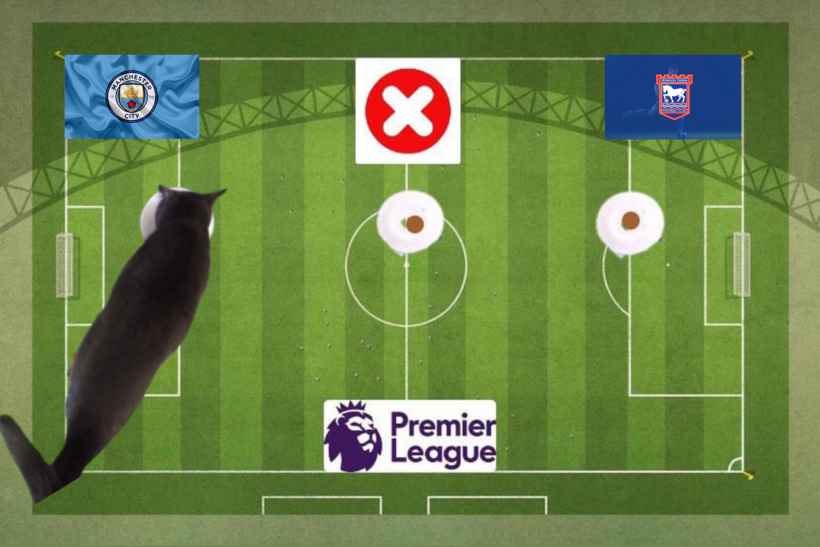 Dự đoán của chú mèo tiên tri trước cặp đấu Man City và Ipswich