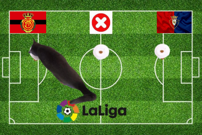 Mèo tiên tri dự đoán kết quả trận Osasuna vs Mallorca