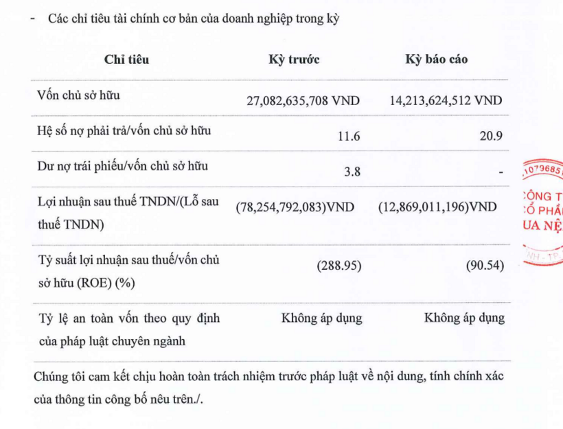 Các chỉ tiêu tài chính của Vua Nệm tại ngày 30/6/2024. Ảnh chụp màn hình.