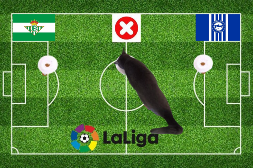 Lựa chọn của chú mèo tiên tri trước trận đấu Alaves vs Real Betis