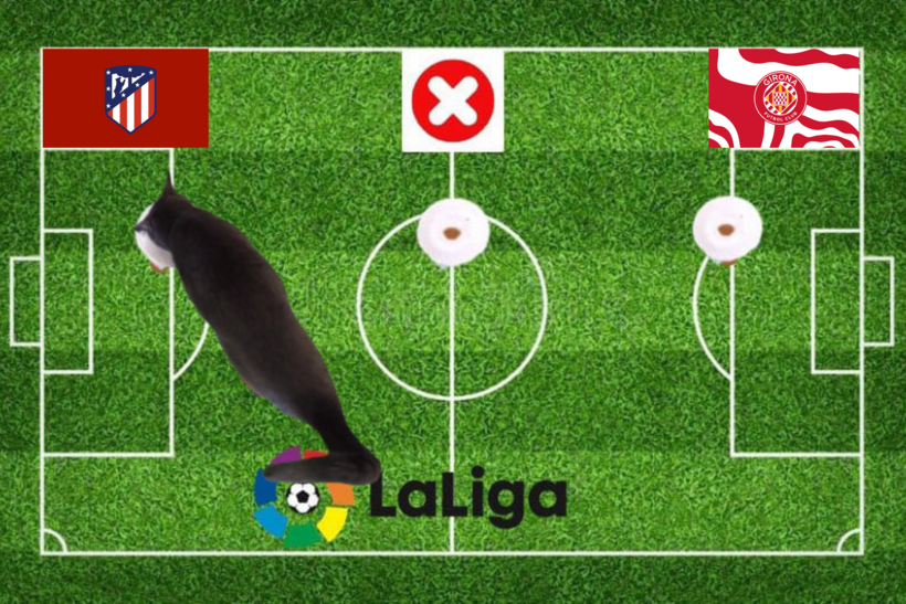 Lựa chọn của chú mèo tiên tri trước trận đấu Atletico vs Girona