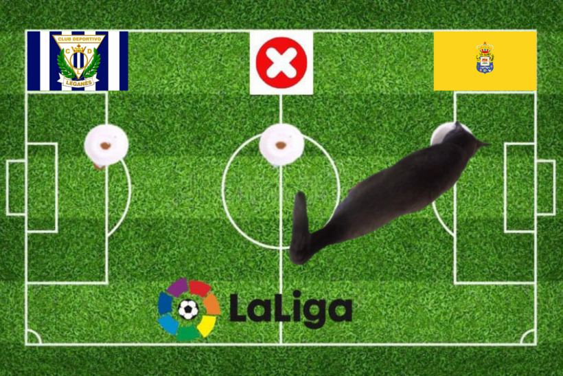 Lựa chọn của chú mèo tiên tri Leganes vs Las Palmas