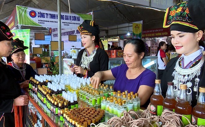 Sản phẩm OCOP đã góp phần nâng cao thu nhập cho người dân huyện Văn Yên.