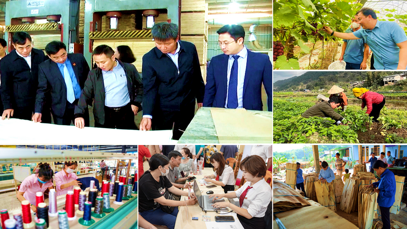 Một số hình ảnh trong các lĩnh vực sản xuất - kinh doanh, ưu tiên theo chủ trương của Chính phủ, các mô hình HTX kiểu mới trên địa bàn đi vào hoạt động từng bước có hiệu quả.