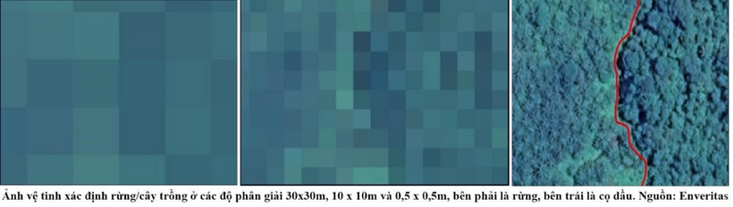 Trong khi các hệ thống thông thường thường dựa vào độ phân giải 30m hoặc 10m thì Enveritas sử dụng hình ảnh có độ phân giải tốt tới 0,5m giúp tăng cường độ chính xác