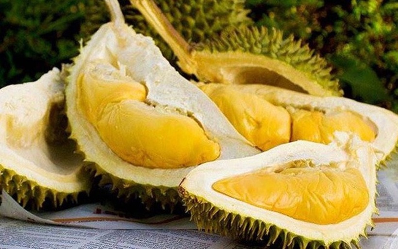 Hãy ghi nhớ những món ăn cần tránh khi ăn sầu riêng để bảo vệ sức khỏe của bạn và gia đình. Ảnh minh họa