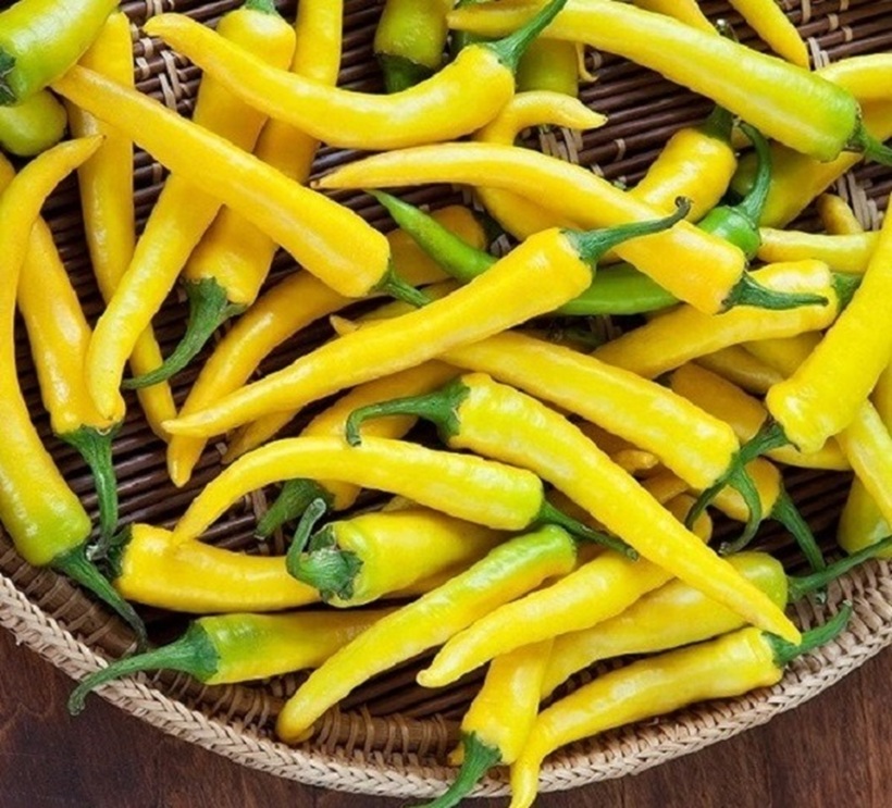 Ớt sừng vàng chứa nhiều vitamin hơn cả cà chua. Ảnh minh họa