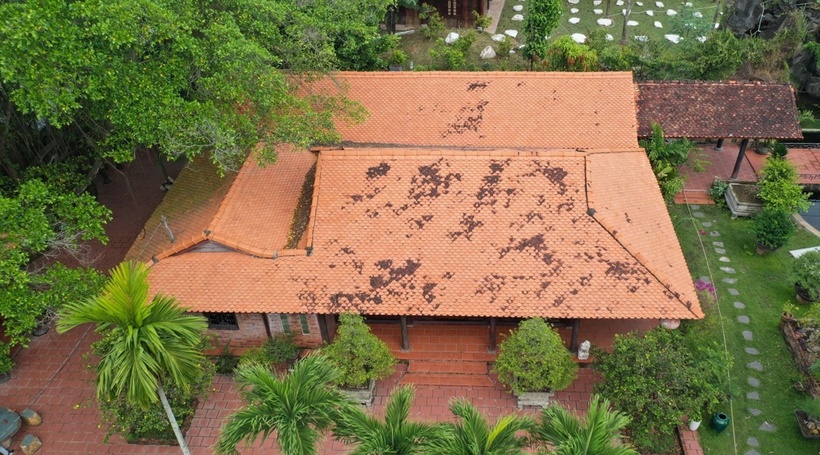 Bên ngoài nhà có ao rộng thả sen, khoảng sân trồng cau, mai chiếu thuỷ, đặt nhiều cây kiểng, hòn non bộ... tạo nên cảnh bình yên, mộc mạc như một miền quê. Phần mái ngói cũ còn sử dụng được được ông Dũng sử dụng lợp mái của nhà thuỷ tạ, soi bóng bên ao nước rộng trước nhà. Sau khi dựng xong nhà chính, ông còn mua thêm vật liệu của vài nhà xưa khác để làm những công trình phụ xung quanh.
